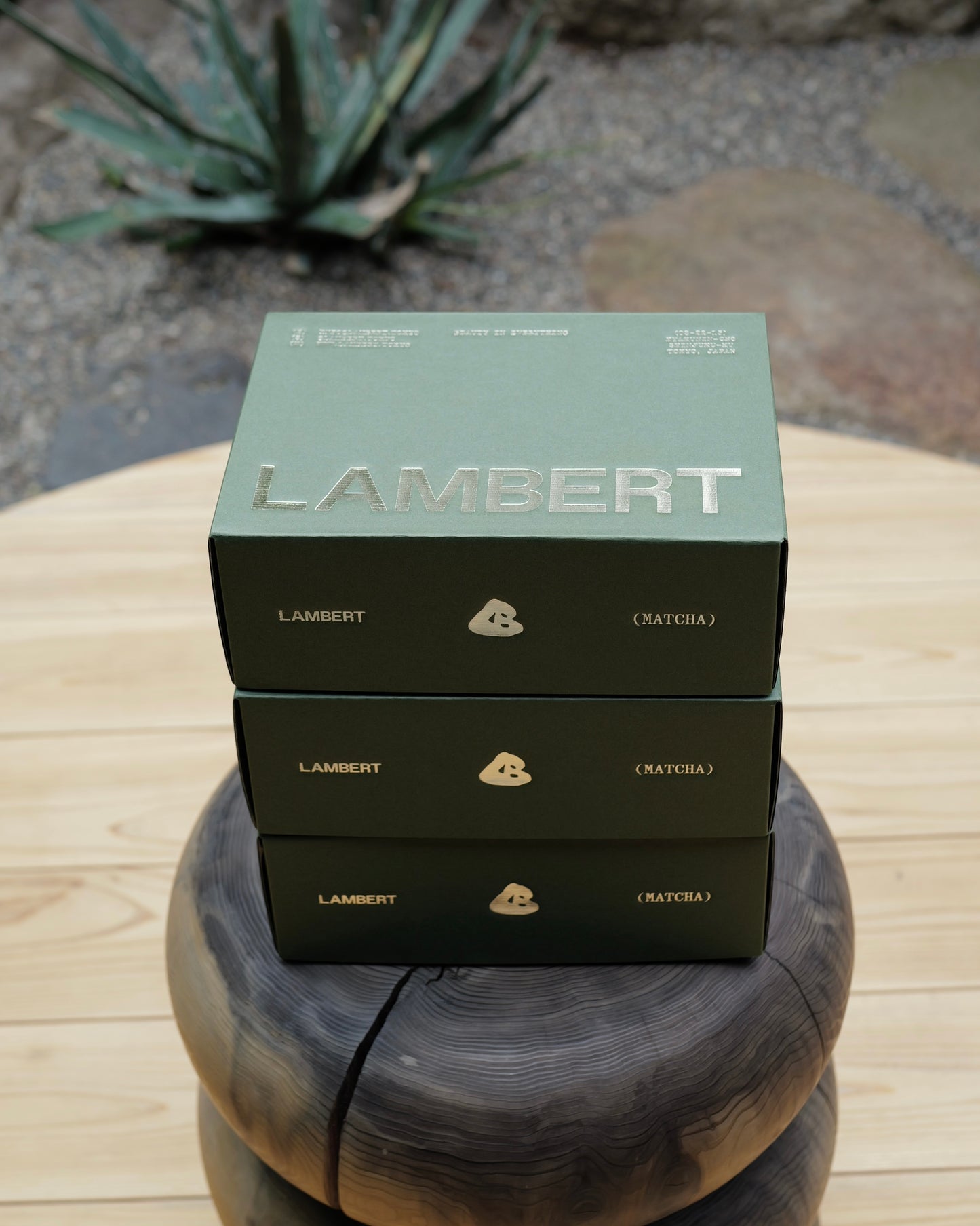 GIFT BOX （ with chasen & bamboo whisk）